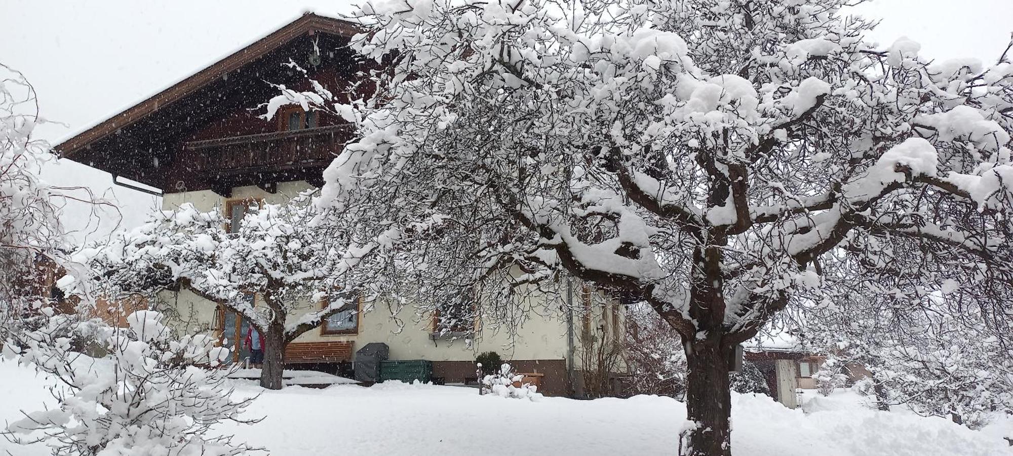 Haus Knapp Nette 4Er Fewo Apartment Dorfgastein Cameră foto