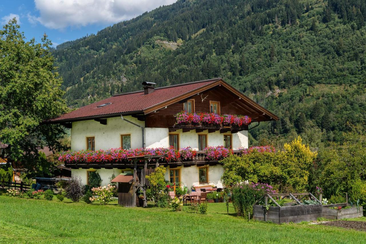 Haus Knapp Nette 4Er Fewo Apartment Dorfgastein Exterior foto