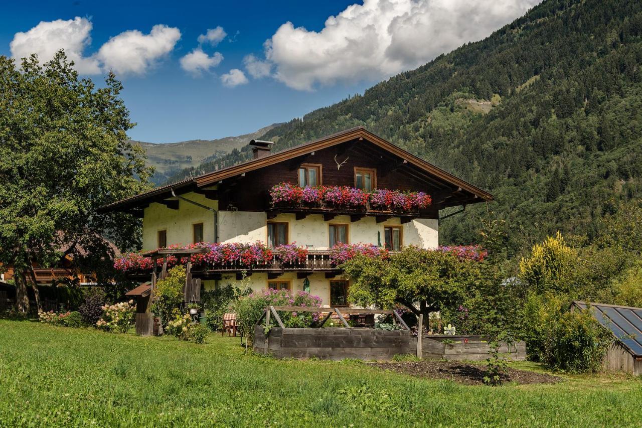 Haus Knapp Nette 4Er Fewo Apartment Dorfgastein Exterior foto