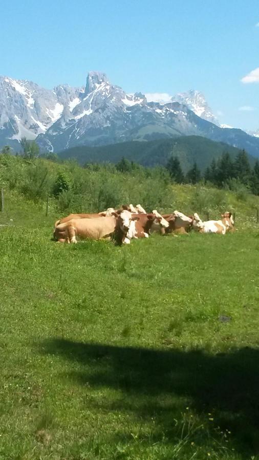 Haus Knapp Nette 4Er Fewo Apartment Dorfgastein Cameră foto